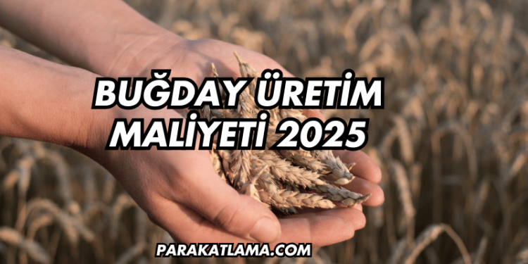 Buğday Üretim Maliyeti 2025