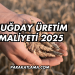 Buğday Üretim Maliyeti 2025
