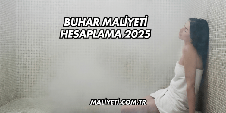 Buhar Maliyeti Hesaplama 2025