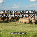 Büyükbaş Besi Çiftliği Kurulum Maliyeti 2025