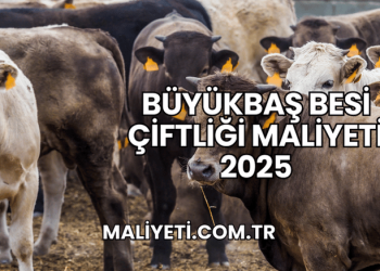 Büyükbaş Besi Çiftliği Maliyeti 2025