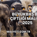 Büyükbaş Besi Çiftliği Maliyeti 2025