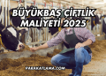 Büyükbaş Çiftlik Maliyeti 2025