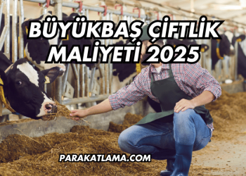 Büyükbaş Çiftlik Maliyeti 2025