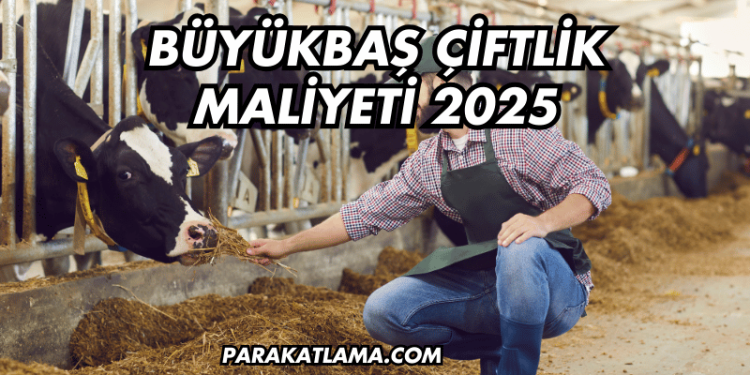 Büyükbaş Çiftlik Maliyeti 2025