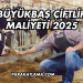 Büyükbaş Çiftlik Maliyeti 2025