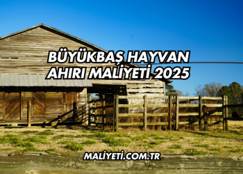 Büyükbaş Hayvan Ahırı Maliyeti 2025