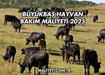 Büyükbaş Hayvan Bakım Maliyeti 2025