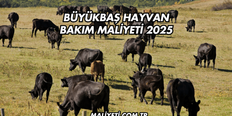 Büyükbaş Hayvan Bakım Maliyeti 2025
