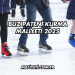 Buz Pateni Kurma Maliyeti 2025