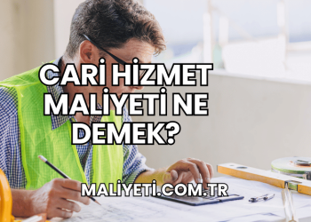 Cari Hizmet Maliyeti Ne Demek?