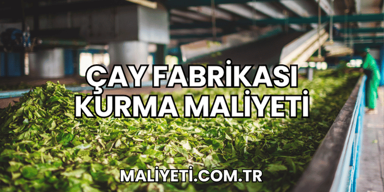 Çay Fabrikası Kurma Maliyeti