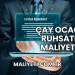 Çay Ocağı Ruhsatı Maliyeti