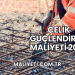 Çelik Güçlendirme Maliyeti 2025
