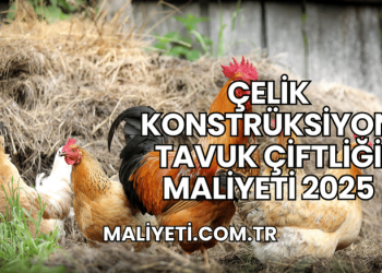 Çelik Konstrüksiyon Tavuk Çiftliği Maliyeti 2025