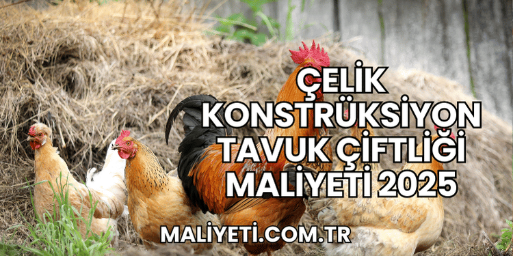 Çelik Konstrüksiyon Tavuk Çiftliği Maliyeti 2025