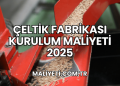 Çeltik Fabrikası Kurulum Maliyeti 2025