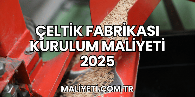 Çeltik Fabrikası Kurulum Maliyeti 2025