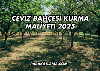 Ceviz Bahçesi Kurma Maliyeti 2025