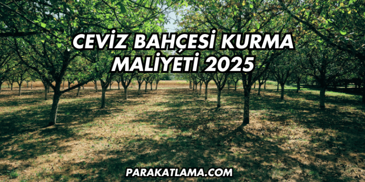Ceviz Bahçesi Kurma Maliyeti 2025