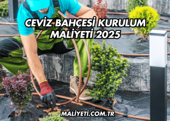 Ceviz Bahçesi Kurulum Maliyeti 2025