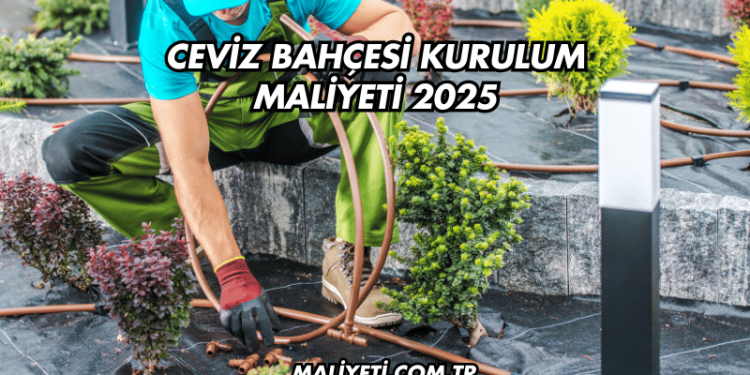 Ceviz Bahçesi Kurulum Maliyeti 2025