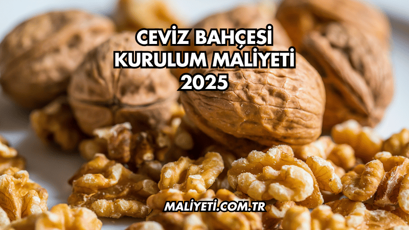 Ceviz Bahçesi Kurulum Maliyeti 2025