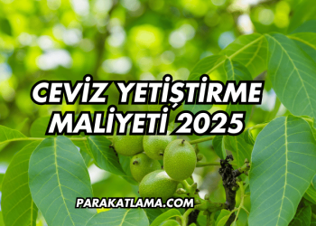 Ceviz Yetiştirme Maliyeti 2025