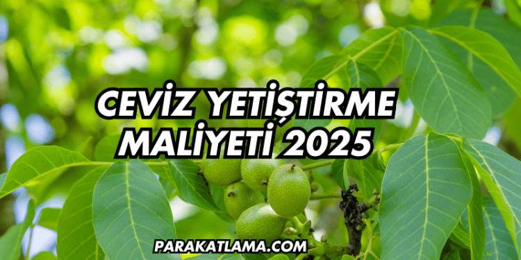 Ceviz Yetiştirme Maliyeti 2025