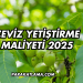 Ceviz Yetiştirme Maliyeti 2025