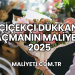 Çiçekçi Dükkanı Açmanın Maliyeti 2025