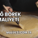 Çiğ Börek Maliyeti