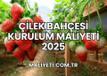 Çilek Bahçesi Kurulum Maliyeti 2025