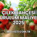 Çilek Bahçesi Kurulum Maliyeti 2025