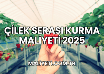 Çilek Serası Kurma Maliyeti 2025
