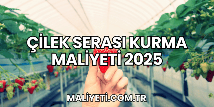 Çilek Serası Kurma Maliyeti 2025