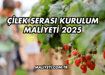 Çilek Serası Kurulum Maliyeti 2025