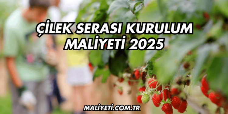Çilek Serası Kurulum Maliyeti 2025