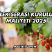 Çilek Serası Kurulum Maliyeti 2025
