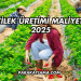 Çilek Üretimi Maliyeti 2025