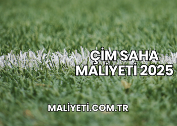 Çim Saha Maliyeti 2025