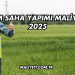 Çim Saha Yapımı Maliyeti 2025