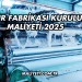 Çırçır Fabrikası Kurulum Maliyeti 2025