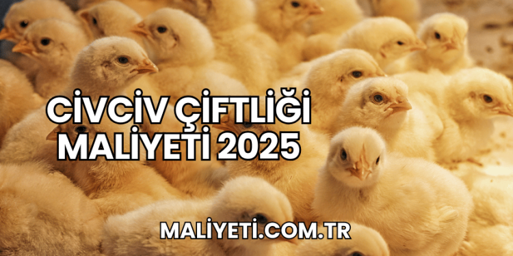 Civciv Çiftliği Maliyeti 2025