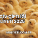 Civciv Çiftliği Maliyeti 2025