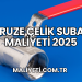 Cruze Çelik Subap Maliyeti 2025