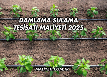 Damlama Sulama Tesisatı Maliyeti 2025