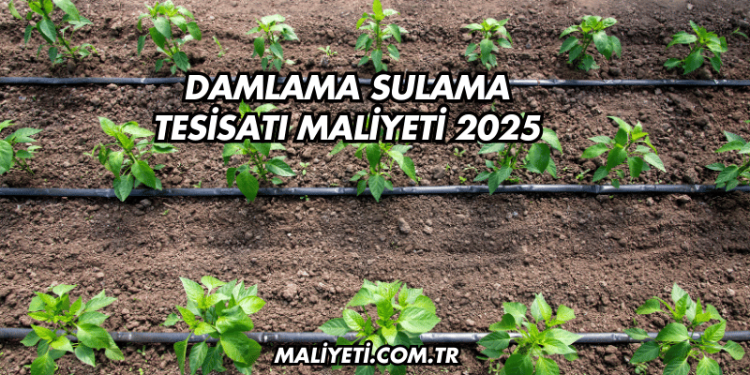 Damlama Sulama Tesisatı Maliyeti 2025