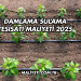Damlama Sulama Tesisatı Maliyeti 2025