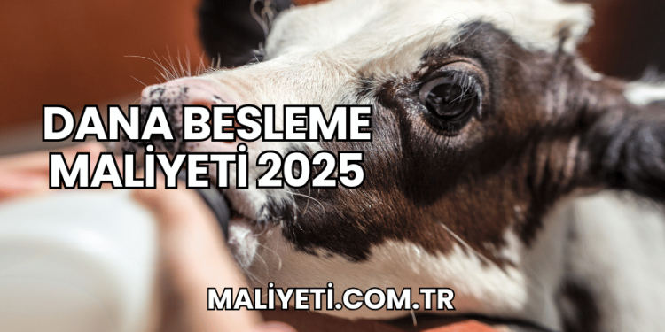 Dana Besleme Maliyeti 2025
